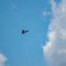 Virginia Air National Guard F-22 Raptors Train Alongside Finnish F-35s at Ebbing ANGB