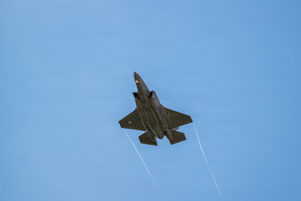 Virginia Air National Guard F-22 Raptors Train Alongside Finnish F-35s at Ebbing ANGB