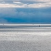 USS Mount Whitney, NATO Ship Convoy