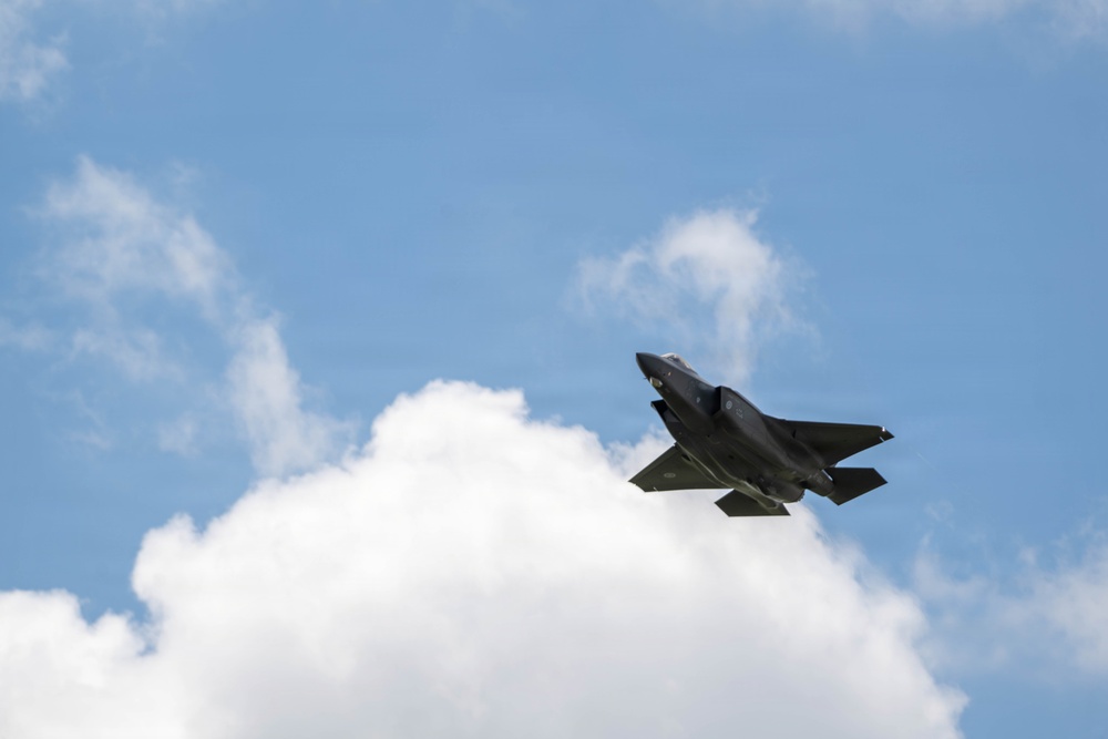 Virginia Air National Guard F-22 Raptors Train Alongside Finnish F-35s at Ebbing ANGB