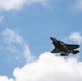 Virginia Air National Guard F-22 Raptors Train Alongside Finnish F-35s at Ebbing ANGB