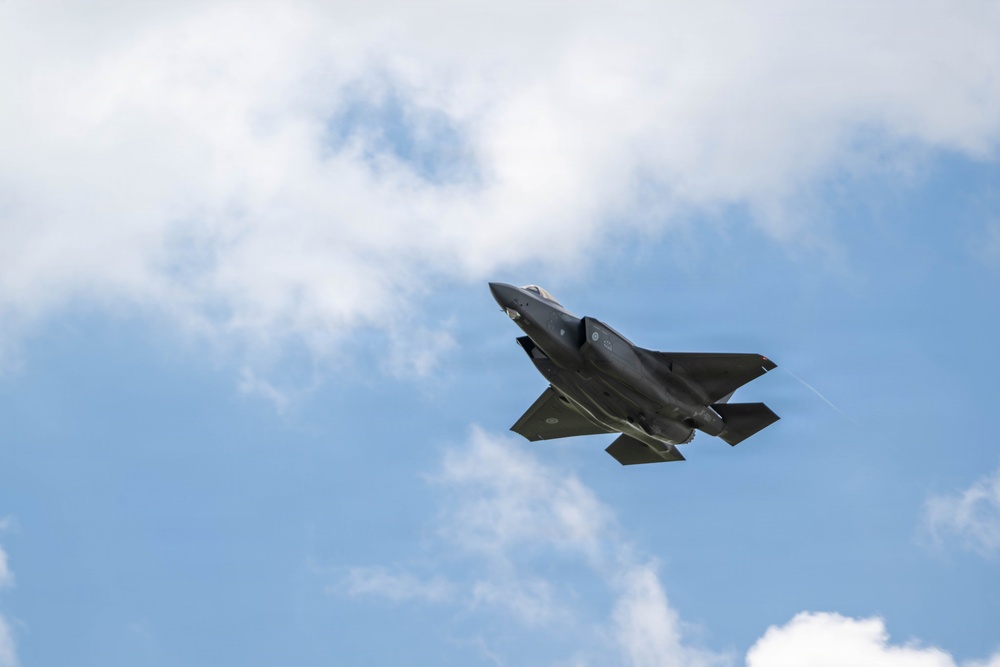 Virginia Air National Guard F-22 Raptors Train Alongside Finnish F-35s at Ebbing ANGB