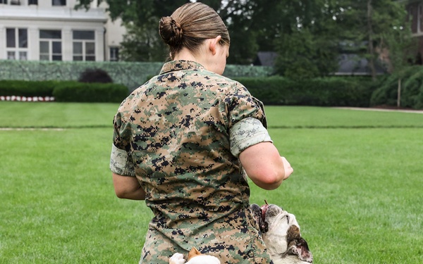 Reveal of Recruit Chesty the XVII