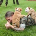 Reveal of Recruit Chesty the XVII