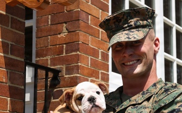 Reveal of Recruit Chesty the XVII