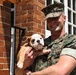 Reveal of Recruit Chesty the XVII