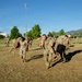Fort Carson Newcomers PT
