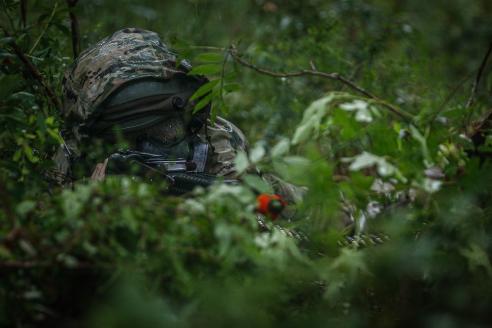 Operation Sentinel Justice