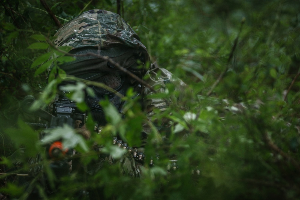 Operation Sentinel Justice