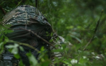 Operation Sentinel Justice