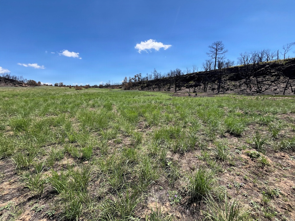 Fort Carson supports recovery following 24 Fire
