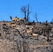 Fort Carson supports recovery following 24 Fire