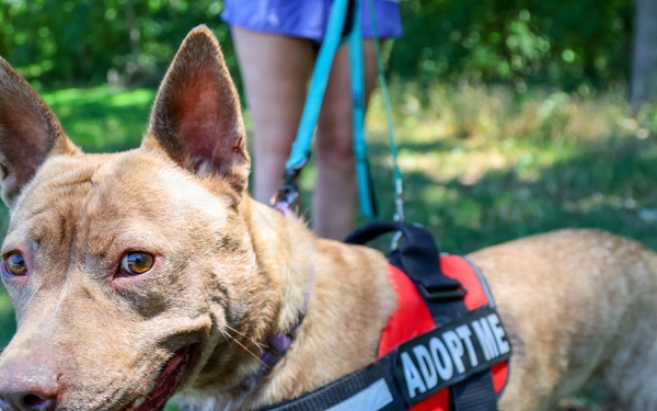 New off-leash dog park at Rend Lake