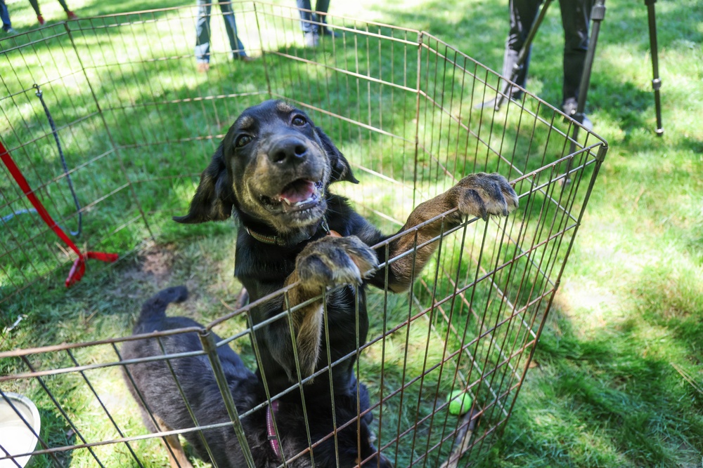 New off-leash dog park at Rend Lake
