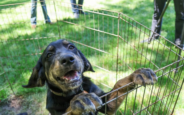 New off-leash dog park at Rend Lake