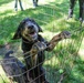New off-leash dog park at Rend Lake