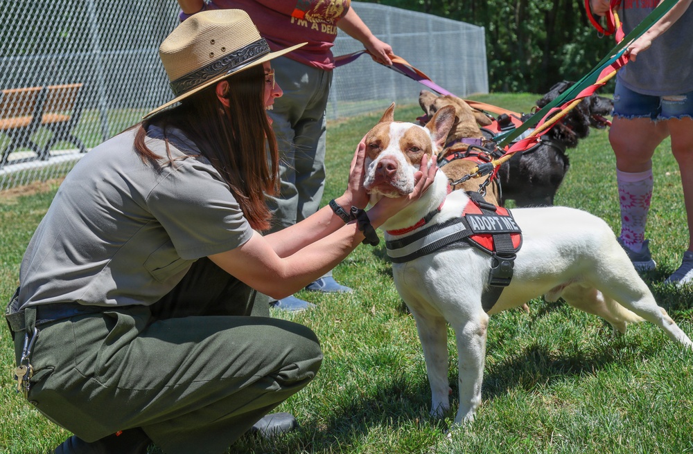 New off-leash dog park at Rend Lake