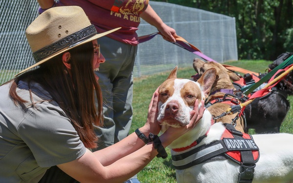 New off-leash dog park at Rend Lake