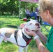 New off-leash dog park at Rend Lake