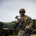 U.S. Marine Corps combat engineers conduct beach security patrol