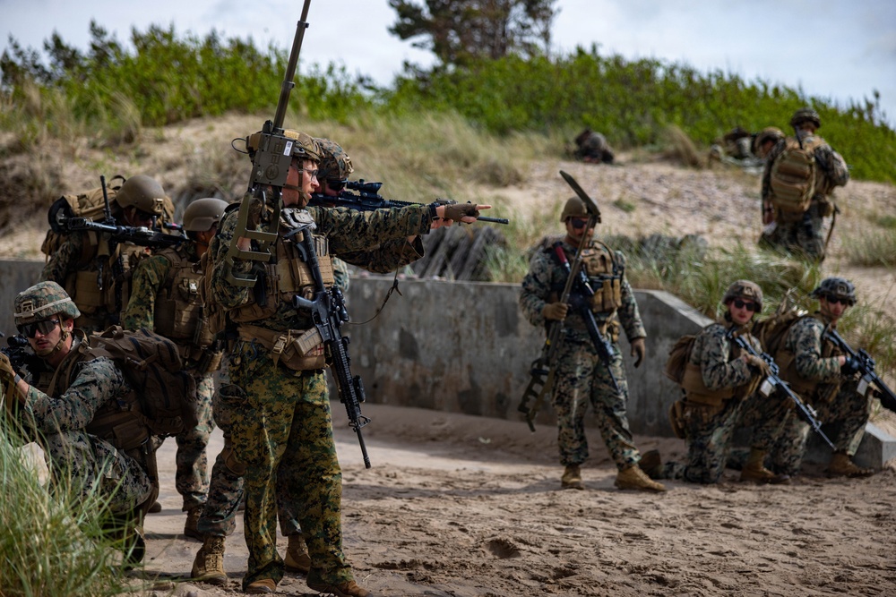 U.S. Marine Corps combat engineers conduct beach security patrol