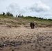 U.S. Marine Corps combat engineers conduct beach security patrol