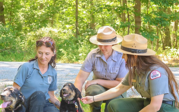 New off-leash dog park at Rend Lake
