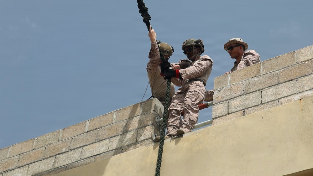 LCF-24: Fast-Rope Qualifications