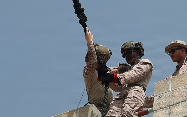 LCF-24: Fast-Rope Qualifications
