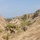 2nd Bn., 5th Marines conduct raid 2nd Bn., 5th Marines conduct raid