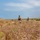 2nd Bn., 5th Marines conduct raid 2nd Bn., 5th Marines conduct raid