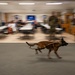 Hurlburt Field hosts Clergy Day
