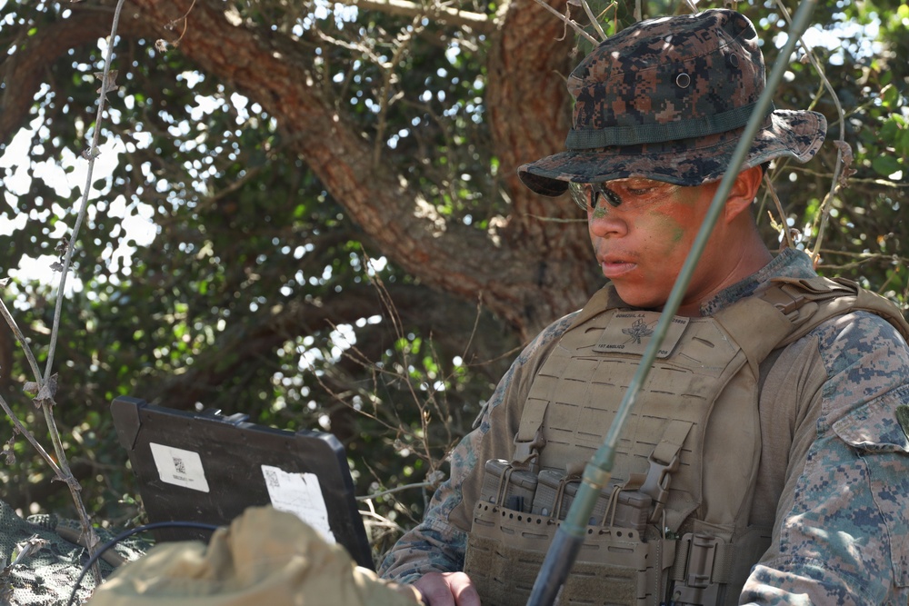1st ANGLICO conducts CERTEX