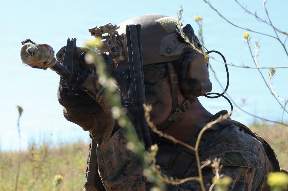 1st ANGLICO conducts CERTEX