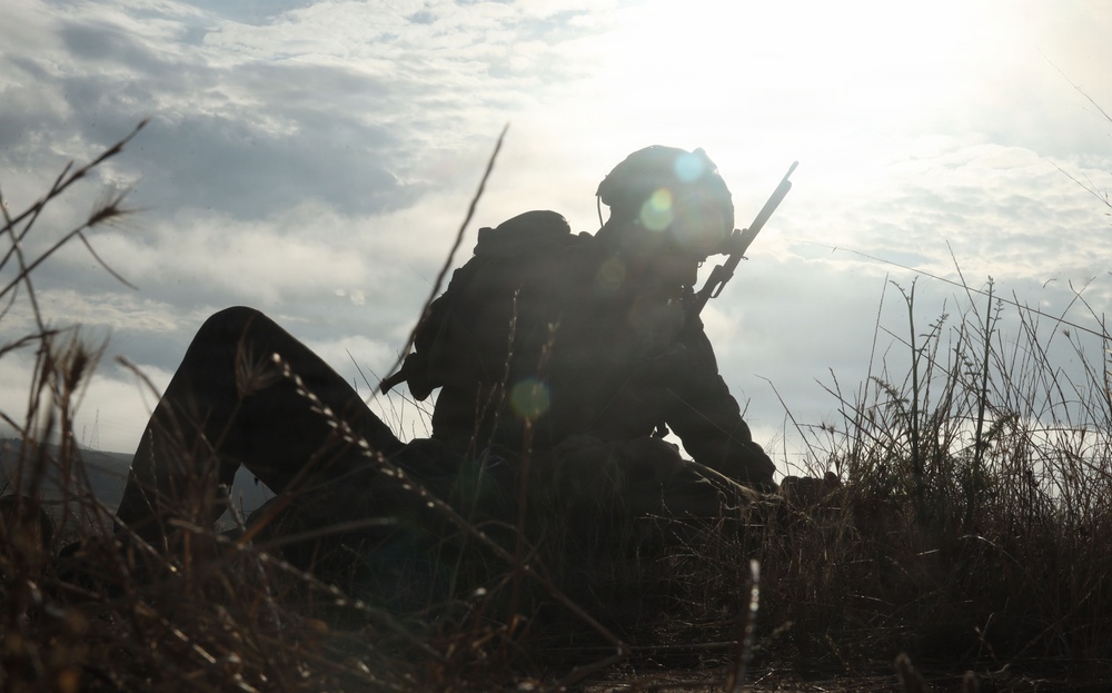 1st ANGLICO conducts CERTEX