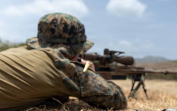 LCF-24: Sniper Zeroing Range