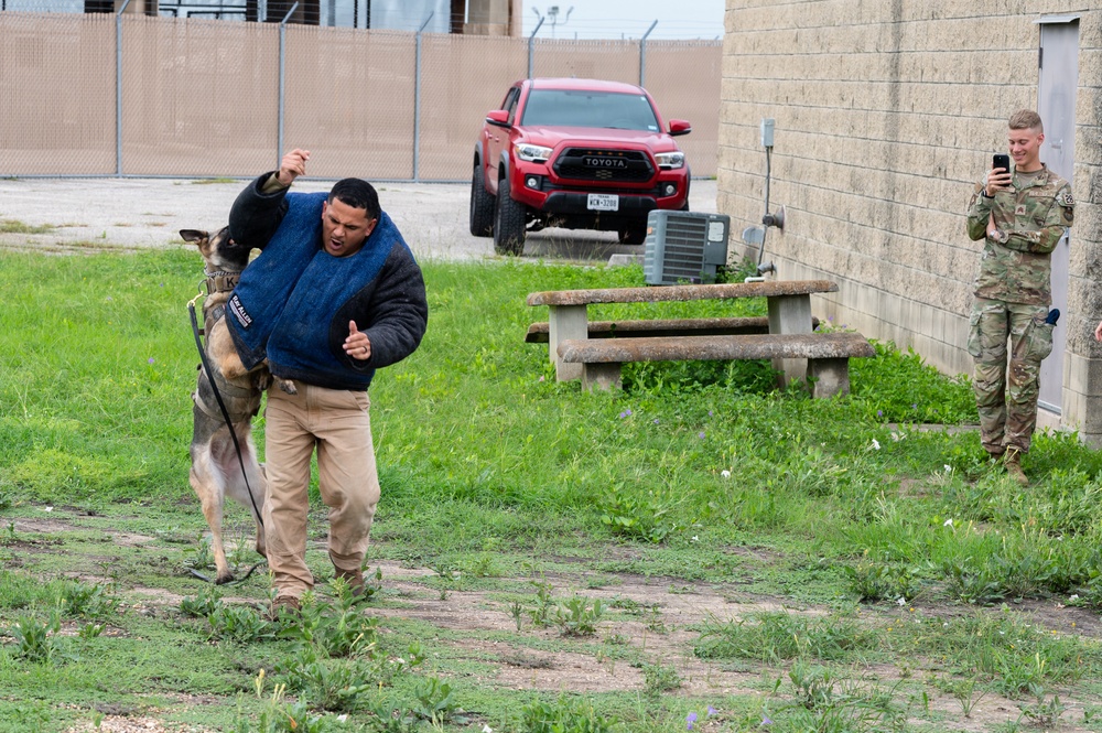 U.S. Air Force Academy cadets tour military working dog facility at Chapman Training Annex