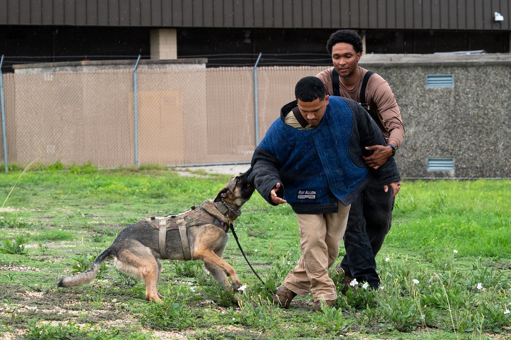 U.S. Air Force Academy cadets tour military working dog facility at Chapman Training Annex
