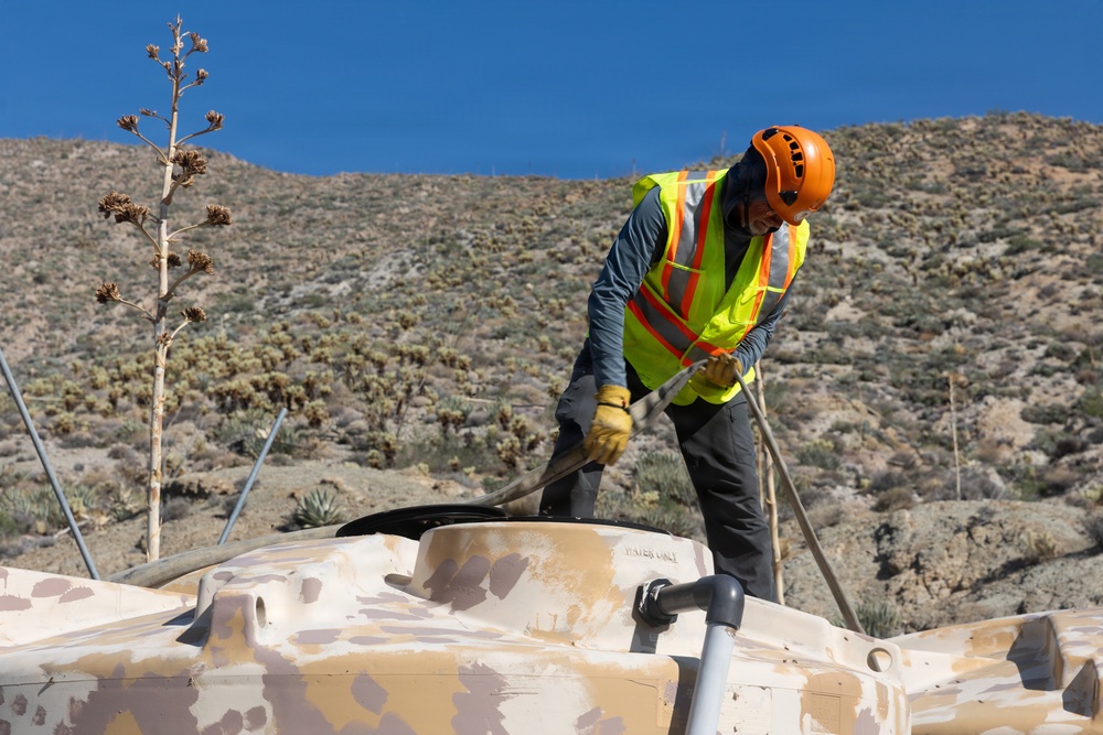 Marines Partner with State and Federal Agencies for Endangered Desert Bighorn Sheep