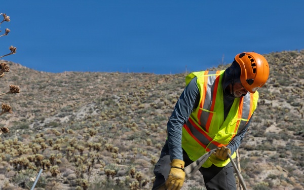 Marines Partner with State and Federal Agencies for Endangered Desert Bighorn Sheep
