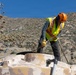 Marines Partner with State and Federal Agencies for Endangered Desert Bighorn Sheep