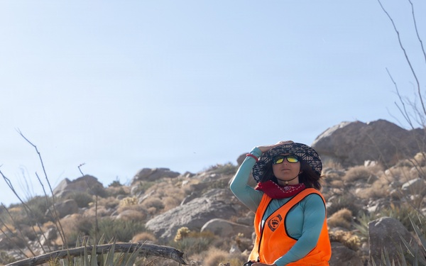 Marines Partner with State and Federal Agencies for Endangered Desert Bighorn Sheep
