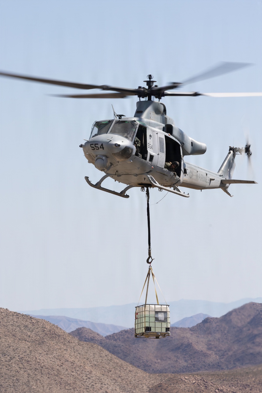 Marines Partner with State and Federal Agencies for Endangered Desert Bighorn Sheep