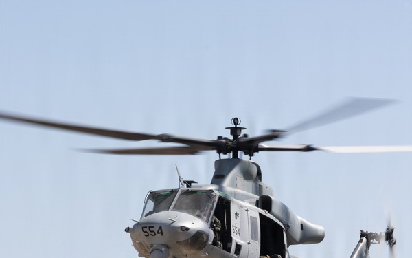 Marines Partner with State and Federal Agencies for Endangered Desert Bighorn Sheep