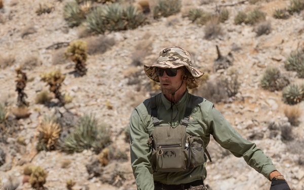 Marines Partner with State and Federal Agencies for Endangered Desert Bighorn Sheep