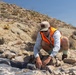 Marines Partner with State and Federal Agencies for Endangered Desert Bighorn Sheep