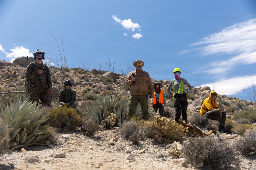Marines Partner with State and Federal Agencies for Endangered Desert Bighorn Sheep