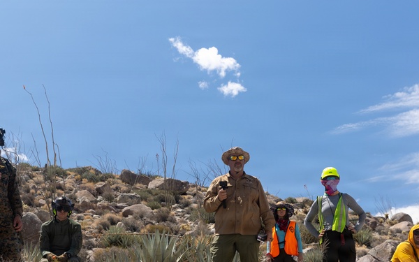 Marines Partner with State and Federal Agencies for Endangered Desert Bighorn Sheep