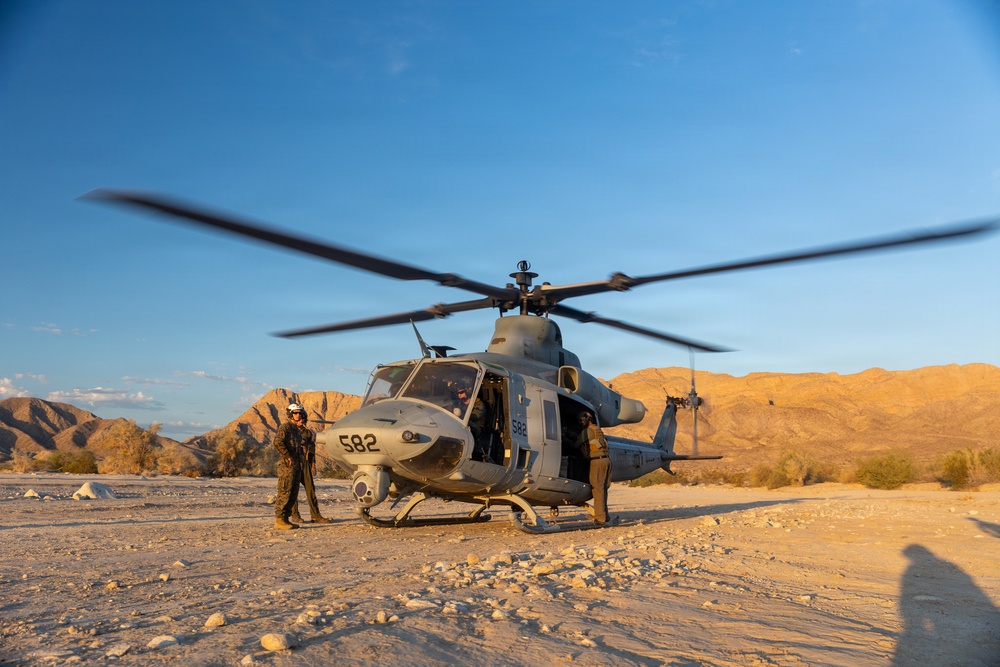 Marines Partner with State and Federal Agencies for Endangered Desert Bighorn Sheep