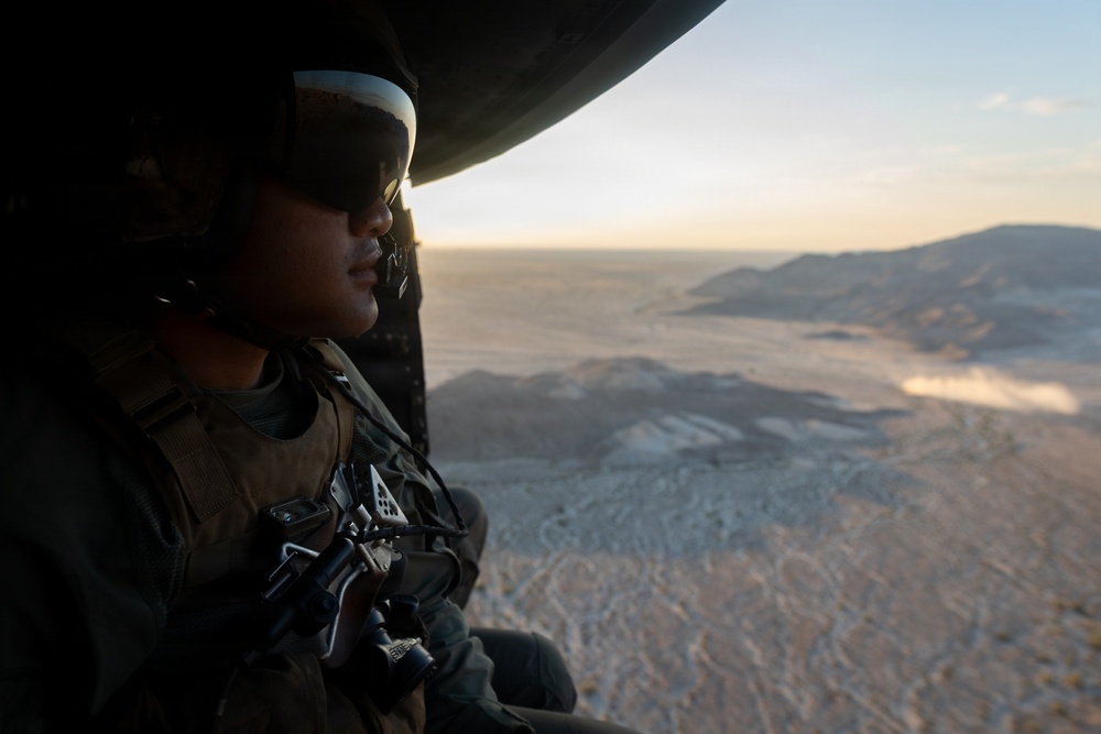 Marines Partner with State and Federal Agencies for Endangered Desert Bighorn Sheep